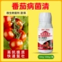 农药杀菌剂