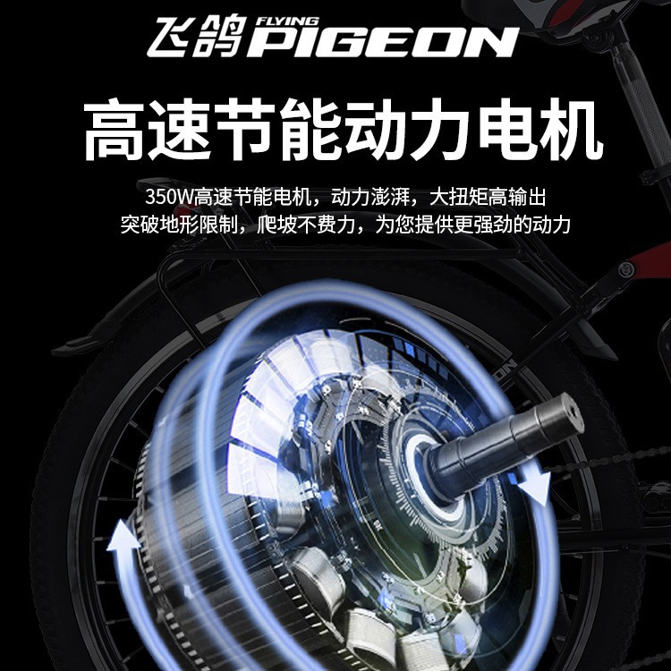 Flying Dove Electric Asisted Mountain Bike nuevo estándar nacional para bicicletas eléctricas asistidas bicicletas para adultos