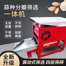 2025新款大蒜分瓣机家用中型电动掰蒜机家用分离设备硅胶材质现货