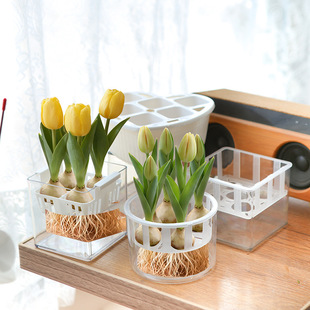 ������ˮ�໨�躬��ֲ�@ˮ�B�²��������דQˮ͸�����ϷN����