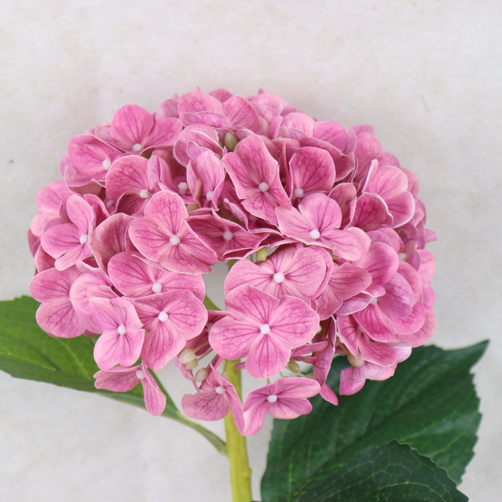 Flores de simulación de grandes hortensias realistas sensación de hidratante hortensias hotel flores de boda artificiales decoración flores de boda falsas flores