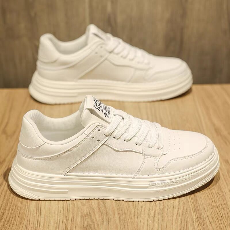 Y6061 화이트