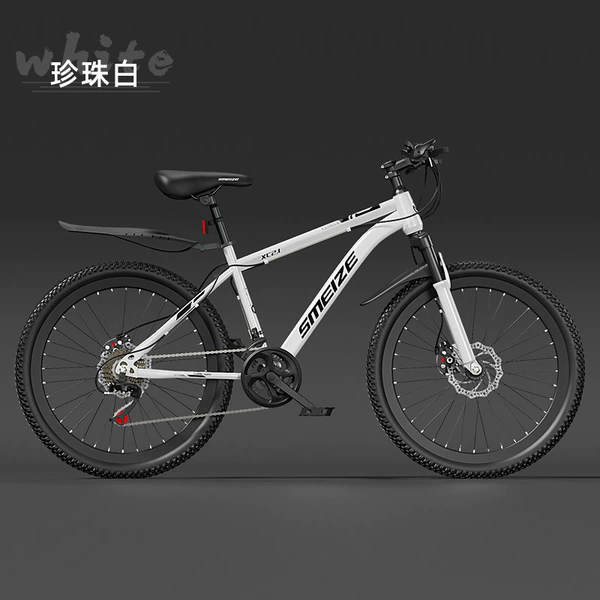 White shock-absorbing bike spokes disc brake