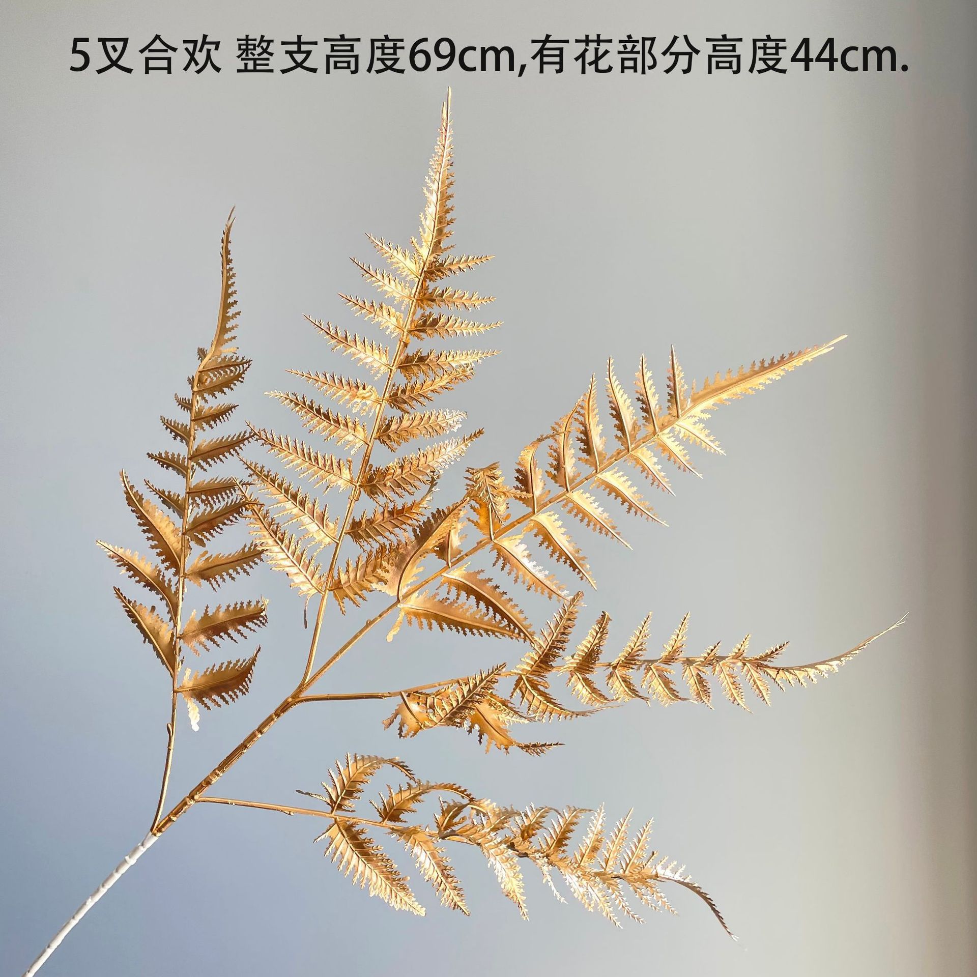 5 포크 아카시아 잔디