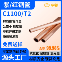 �F؛���l�t�~�� �߼��Ȍ��T2���~�� C1100�t�~��