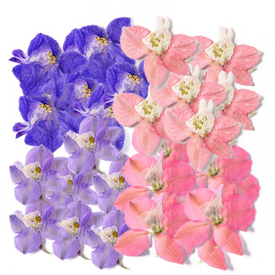 Qiandowahua Bread Dropping Glue Dried Flower Embossing Material DIY Mobile Phone Shell Dried Flower Petal Plant Specimen Teaching Real Flower