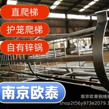 镀锌安全钢护笼爬梯跳板脚手架踏盘扣式移动管支扣件连接全套工地