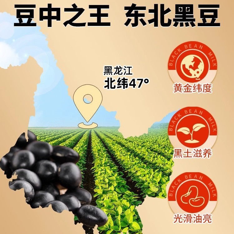 北京同仁堂黄芪党参黑豆豆浆粉补养营气血养早餐代餐现货批发代发|undefined