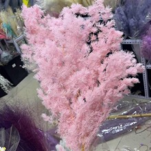 �������R�ɸɻ��滨ѩ�ɿ羳�Ҿӻ�Y�b���Ϲ��S���l���R��