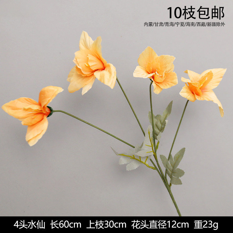 4头水仙