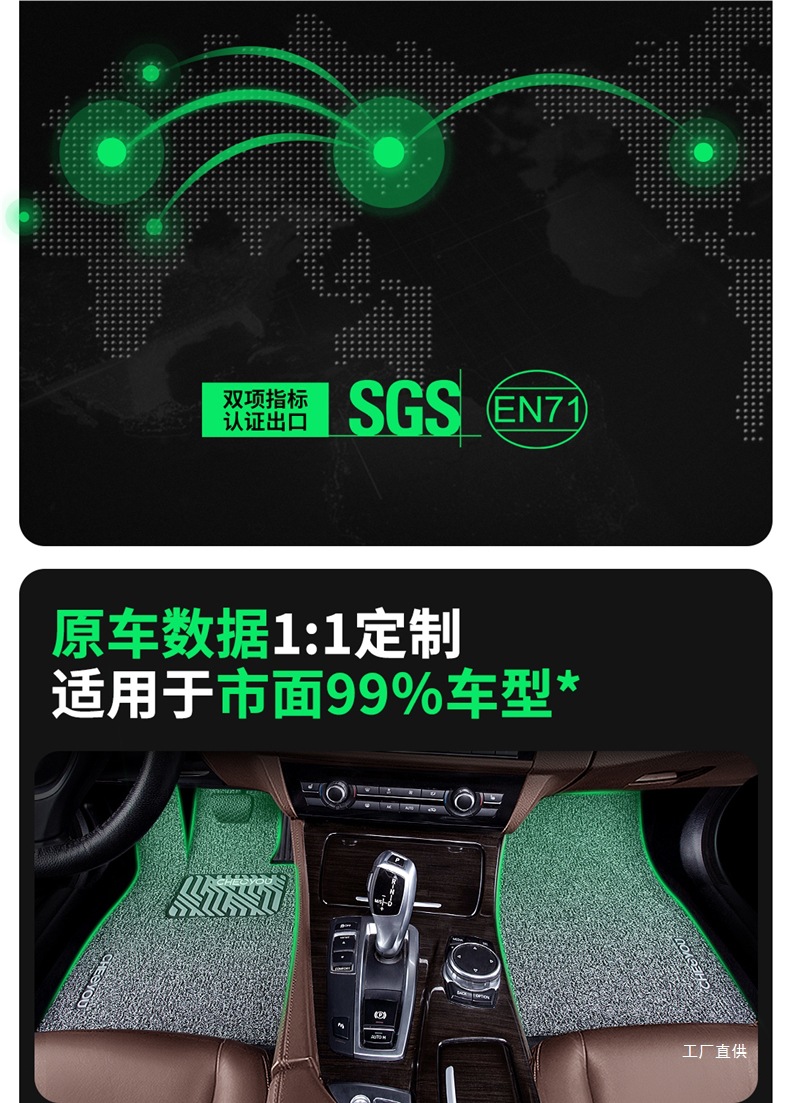 Car Floor Mat for the Driver's Seat, Single Piece Mat for the Driver's Seat, Single Wire Loop for the Passenger's Seat, Special Mat for the Passenger's Seat by Zhepei Hui