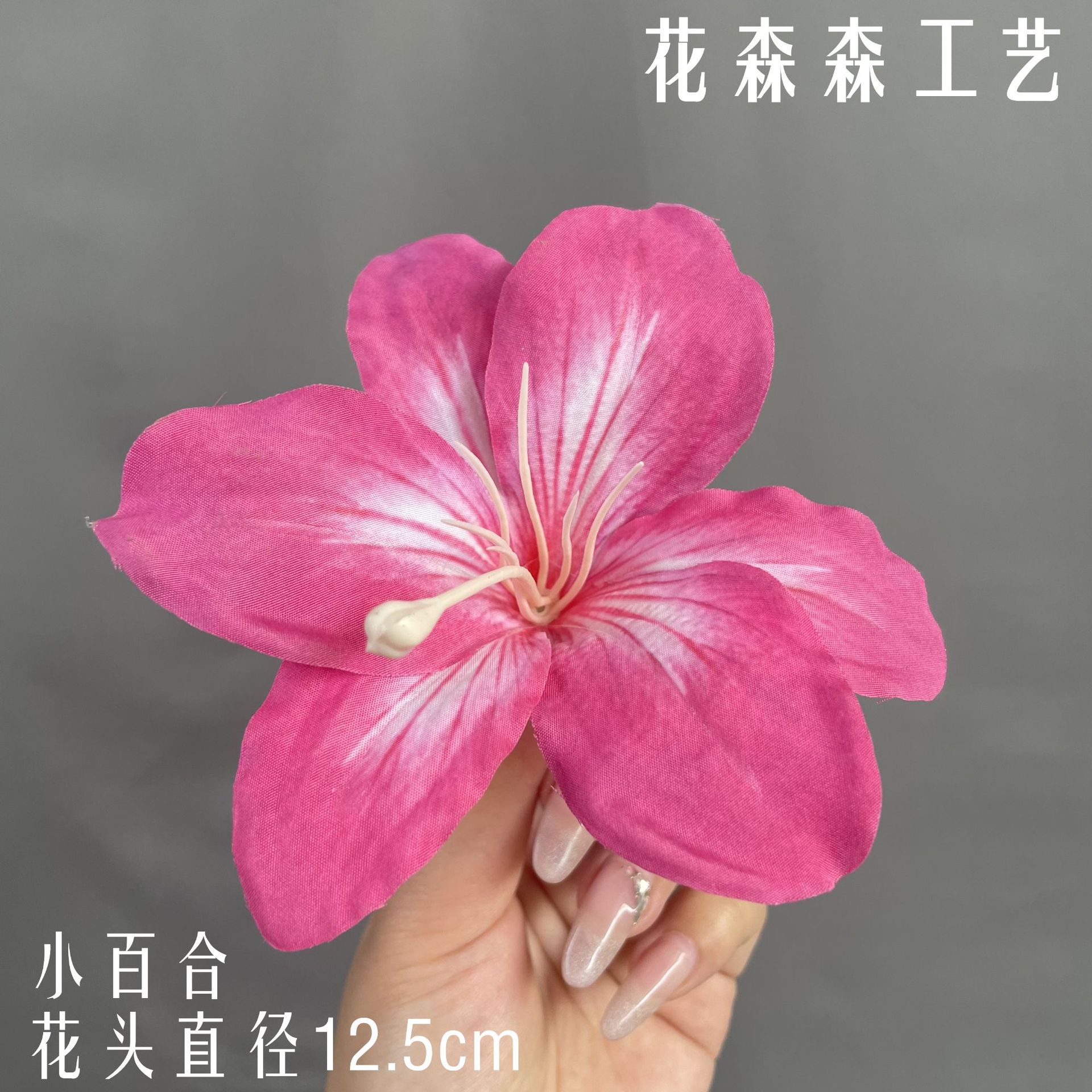 색상 12