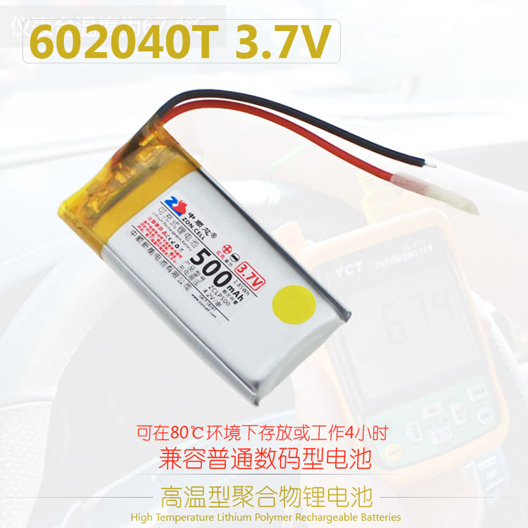 LP602040T500b2.jpg