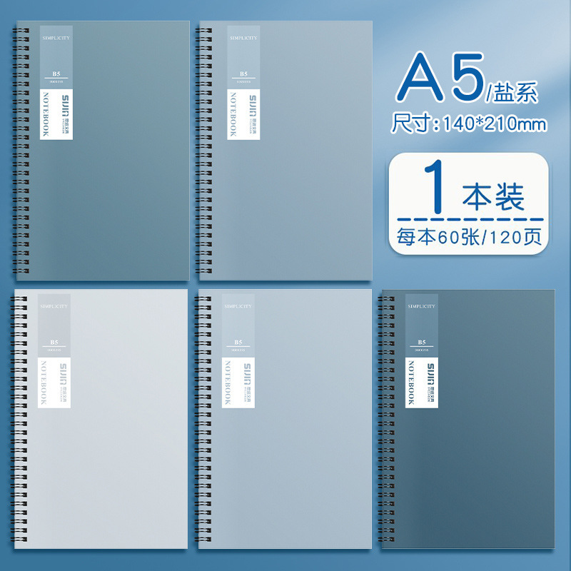 소금 시스템 [A5/60]
