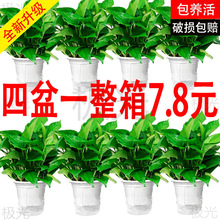 �G�}�����҃ȼ����·�������ȩ�����՚�ֲ��ˮ���L�ٴ��~�G�j�Gֲ