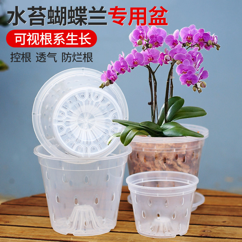 胡蝶蘭植栽用鉢 雨滴型 高透明プラスチック 底穴付き 通気性 蘭科植物用 卓上用 クリエイティブ専用鉢 花卉用|undefined