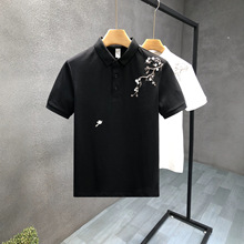 �OӋ�д̽��߶˶���polo��������Ʀ������2026���ļ��¿���ʿt��