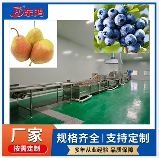 【厂家供应】果蔬清洗机 草莓清洗线 气泡清洗消毒 高压清洗烘干