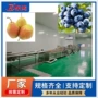 烘干高压气泡果蔬清洗机