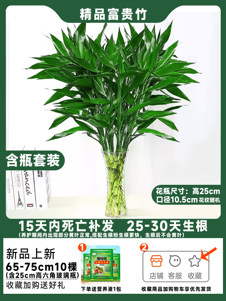 [병세트] 65~70cm 나무 10그루 + 유리병, 무료 영양액