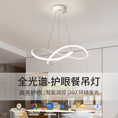 2025新型led超薄型現代シンプル北欧異形条食シャンデリア客間寝室灯全スペクトル灯具