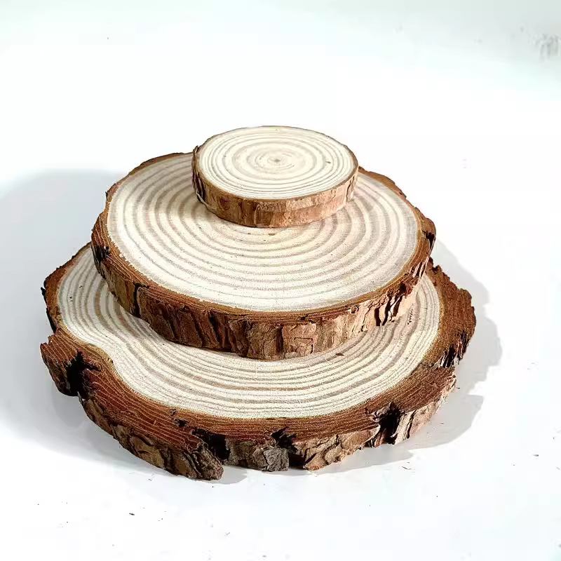 儿童微景观 制作DIY树皮木片 木切片配件材料