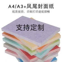 180克A4/A3凤尾皮纹纸 封面纸 装订平面皮纹 彩色打印纸 学生用品