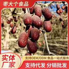 �½������җ�500g ���l�����t�� δ�ӹ� δ��ϴ��Ǽ��җ�