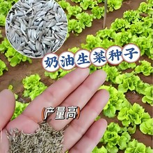 ˷N˷NļN̨߲ͥ˷N˷N