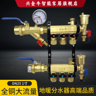 Dn25 Pure Copper Large Flow 4-Point Floor Heating and Geothermal Collection 5-Way 6-Way Water Distributor Classy Home Decoration Complete Set