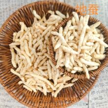 批发供应批发地蚕 产地货源白虫草 草石蚕 地蚕 虫草参 地参500克