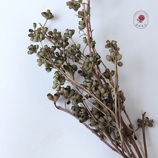 ���ƹ��ɻ�����������Ȼ�����滨���������ޔ[���Ҿ��b����l