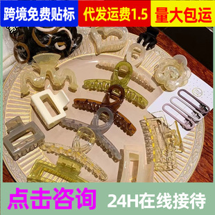 �l�A���b�����^l�2024�l��ץ�A�lȦ���cȦ�ߏ����^�K����A��