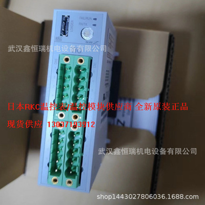 Японский модуль контроля температуры RKC Z-TIO-CC-VVVV/N1-FK09 Оригинальный контроллер SPOT Z-T10-C