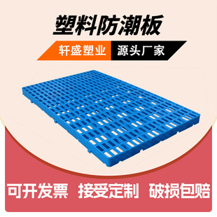 ������ ���ω|�_վ��ȫ�����mɫ�^�� �}���؛ �S������