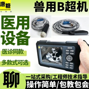 �F��B���x�� ����B���C�iţ��؈��B���y�Ѓx�F��B���C