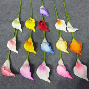 �羳pu�R��ɏ�ٺϷ��滨��cܛ�b�ٻ���c��eva�ҾӲ廨�[�����l