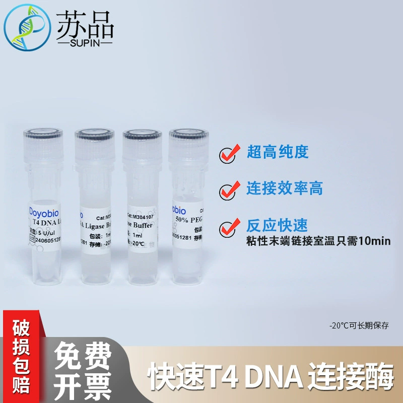 Duyou Biotech Rapid T4 ДНК-лигаза 1000 U, T4 ДНК-лигаза (быстрая)