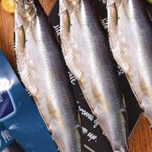 俄罗斯风味烟熏鲅鱼鲱鱼沙丁鱼马哈鱼碟鱼偏口鱼海鲜下酒即食为溢