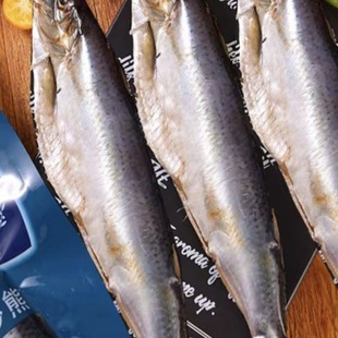 ���_˹�Lζ��Ѭ�E�~�E�~ɳ���~�R���~���~ƫ���~���r�¾Ƽ�ʳ����