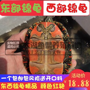 �����|���\�����\��С������ˮ�^�p���\ˮ�������\���Bֳ�����l