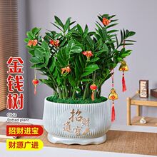 ���X���҃�ֲ�����԰�̨�͏d�[�Ż�ǰ̨�k���Ҿی����M���Gֲ