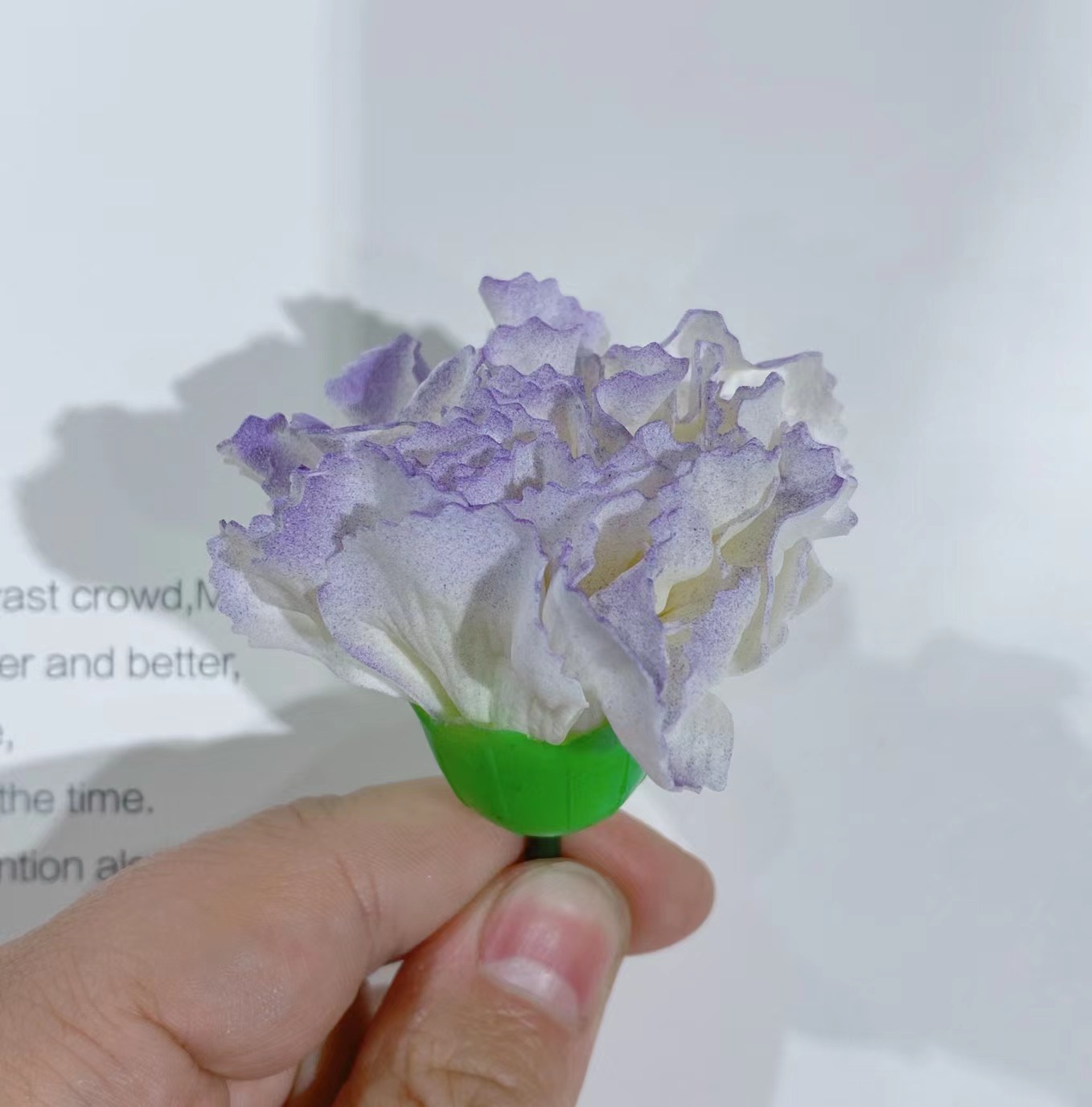 新款康乃馨-渐变紫