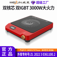 威菱多功能电磁炉台式家用大功率高颜值送礼电池炉定制OEM/ODM