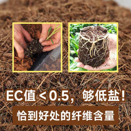 进口批发低盐种植土椰糠椰砖改良土壤无土栽培基质免泡发椰糠包