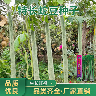 �߶��N���߹ϷN���߲��Ѵ������ļ��߲˷N���r���̨ͥԺ�߲˴�ȫ