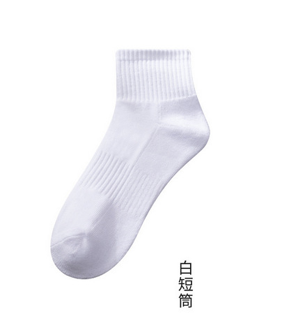 ȫ�ް�ëȦ������Ͳ����Ů���������˶�������Լ�ڰ׹���ֱ��