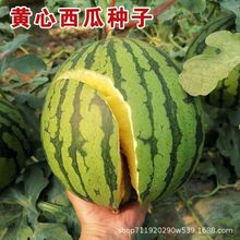 ƷSӾGƤSȿSϷNSSСPϷN