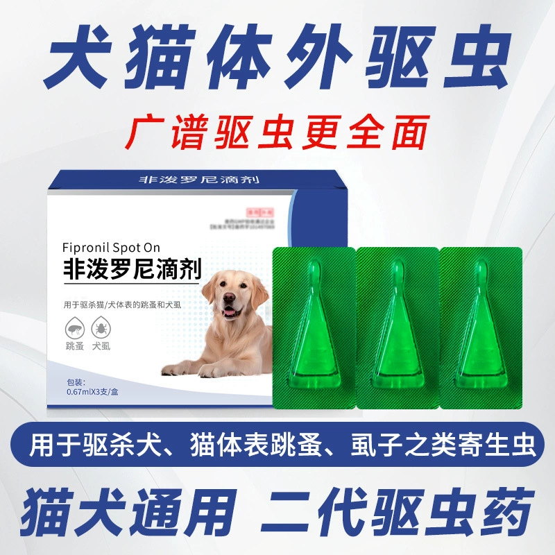 Домашние животные, дегельминтизирующие капли, кошачьи собаки