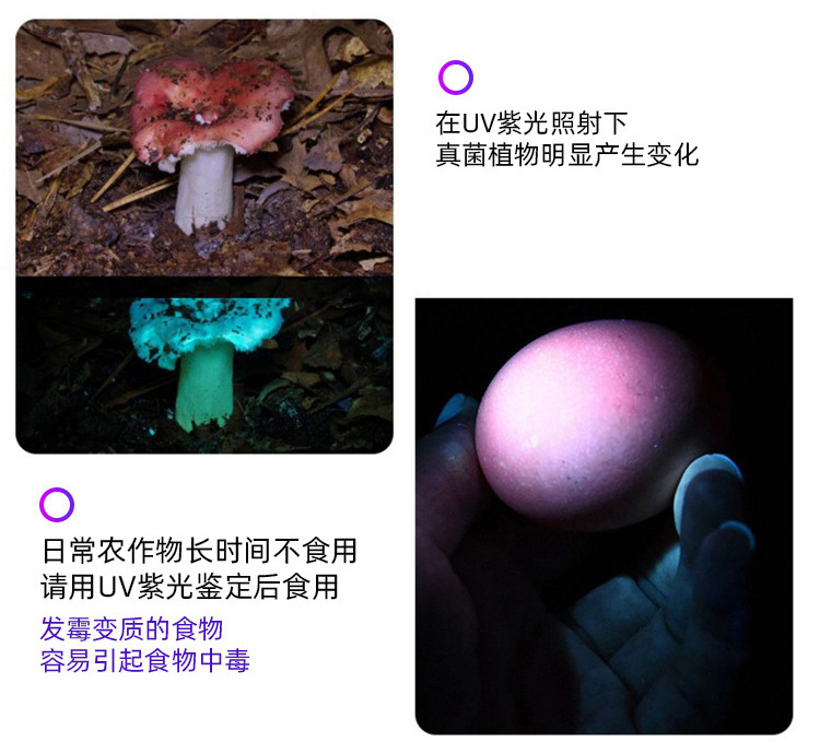 未标题-1_14.jpg